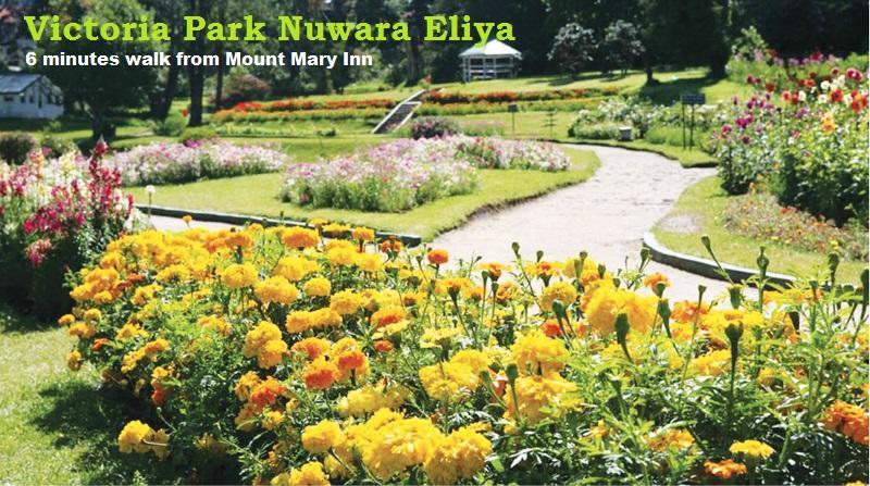 Mount Mary Inn Нувара Елия Екстериор снимка